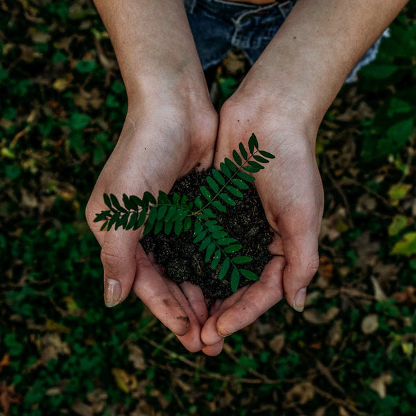 5 conseils pour réduire son empreinte carbone - Comme Avant