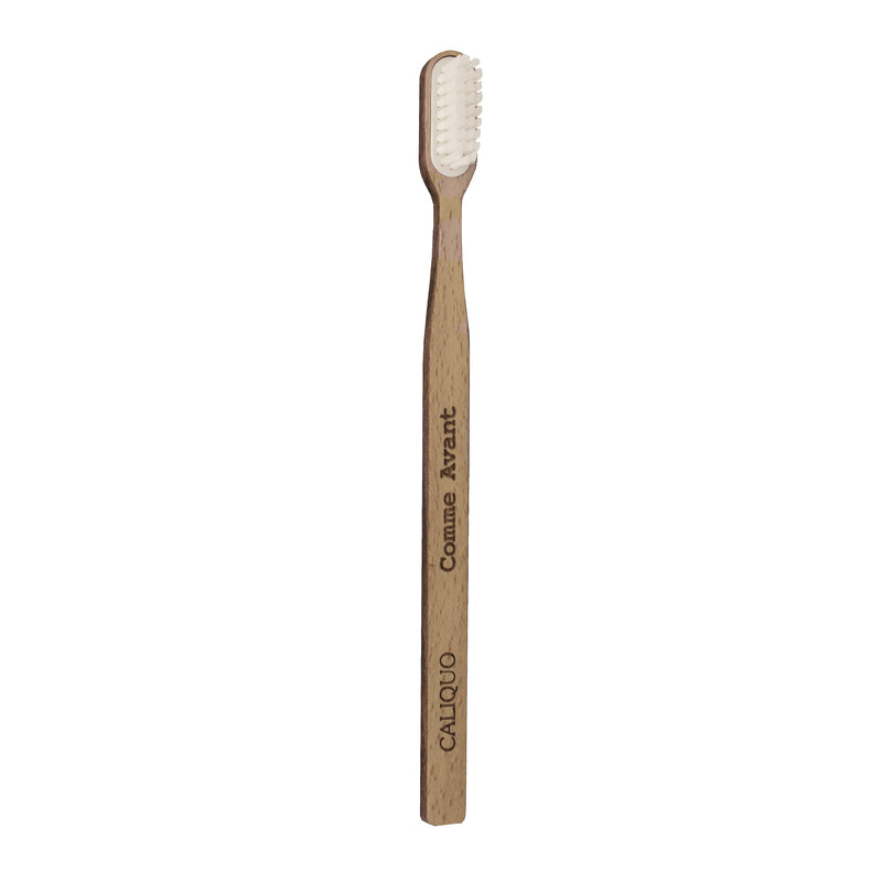 Brosse à dents rechargeable en bois (ancienne version)