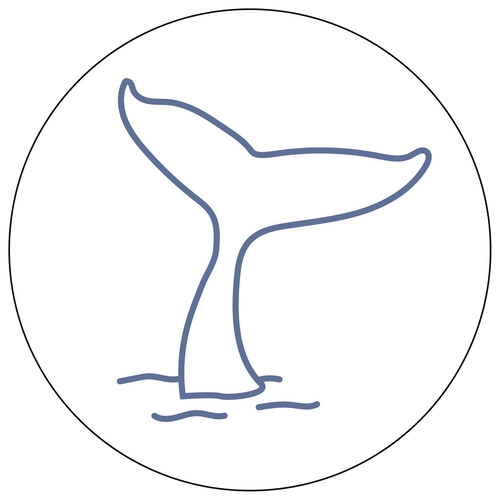 T-shirt MIRACETI en coton pour femme - Version 1