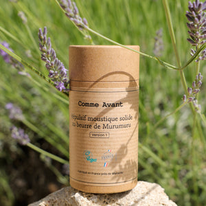 Quelles astuces de grand-mère pour faire fuir les moustiques ?