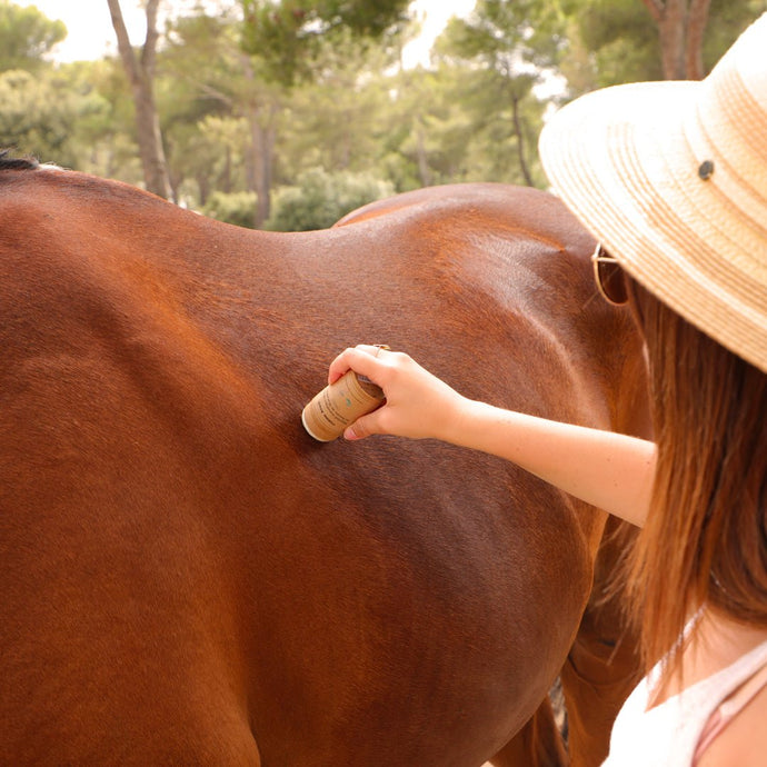Comment soulager votre animal des insectes ? - Comme Avant