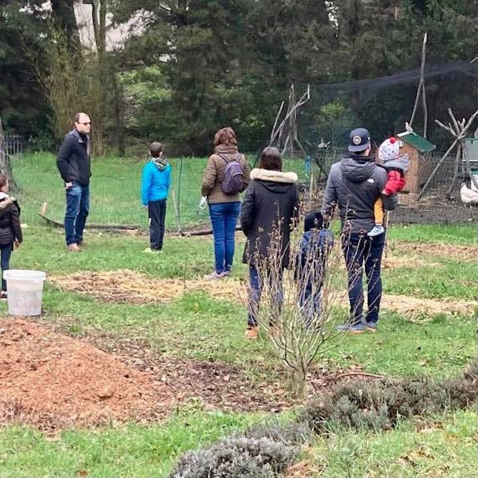 Des poules au jardin - Comme Avant