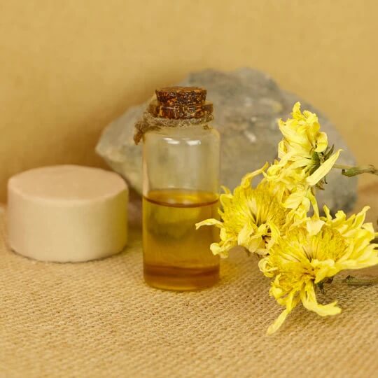 macérât d'arnica naturel contre les blessures