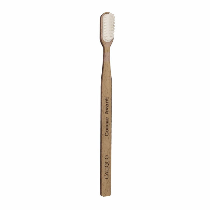 Brosse à dents rechargeable en bois (ancienne version)
