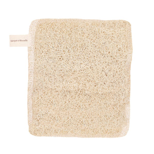 Éponge lavable en Loofah